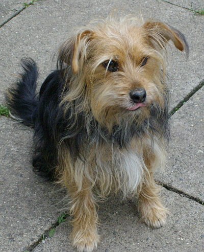 Tilly