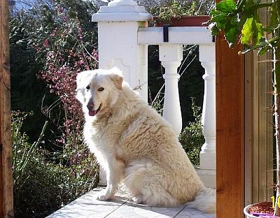 auf der Terrasse