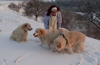 Chiara, Leona und Nala