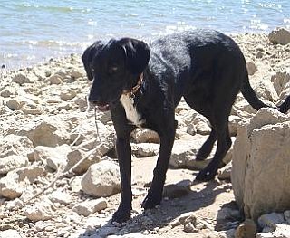 Clooney am See