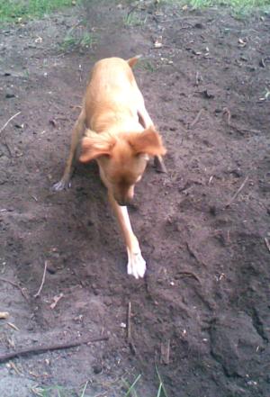 Grace