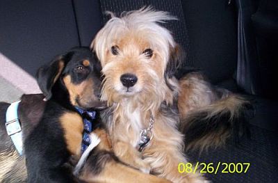 Justin und Sammy
