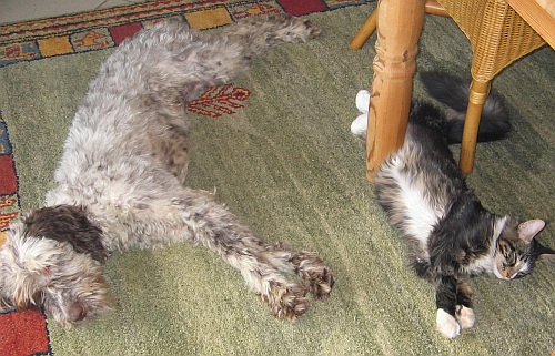 Maraya und Felix