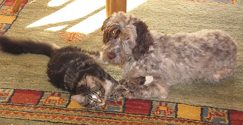 Maraya und Felix