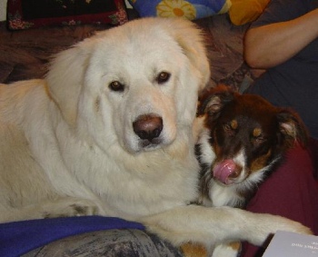 mit Mamma