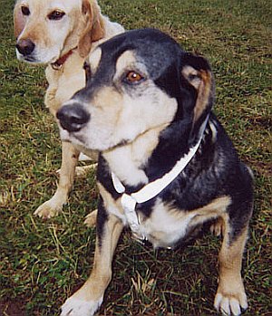 Bionda und Max