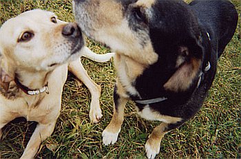 Bionda und Max