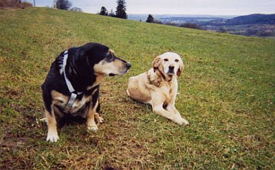 Bionda und Max