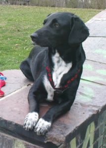 Meret