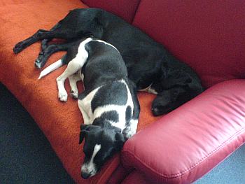 auf der Couch