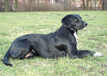 Meret