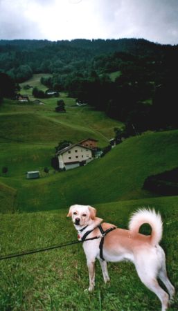 Oscar