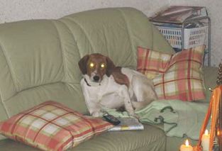 auf der Couch