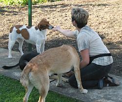 im Garten