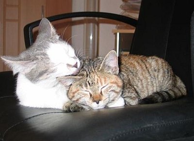 Rugi und Pepper