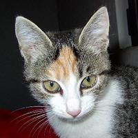 Rosita