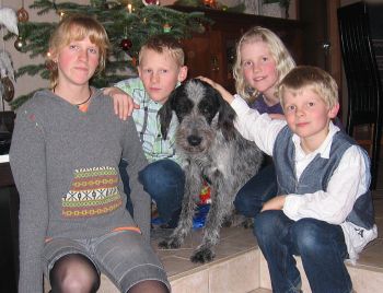 Timo Weihnachten 2008