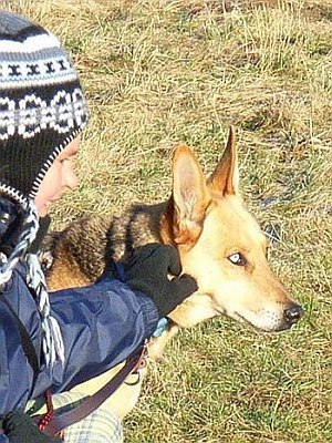 Yppa