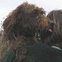 Zena