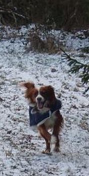 Benny