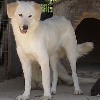 Zoë