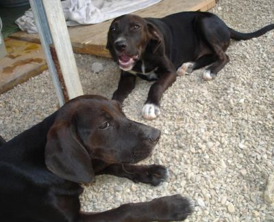 Anton und Antonia