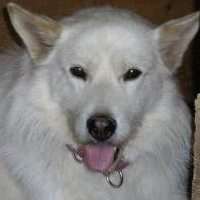 Ares