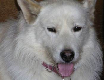 Ares