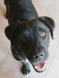 Blacky