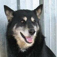 Bruno