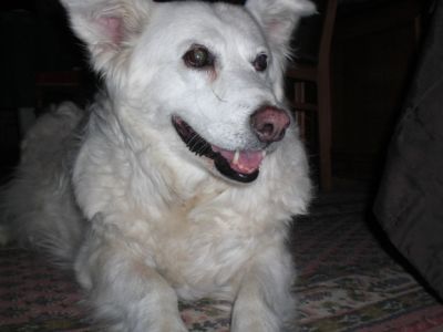 Carlotta