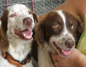 Charlot und Cherie