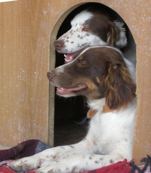 Charlot und Cherie