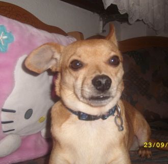 Ciro