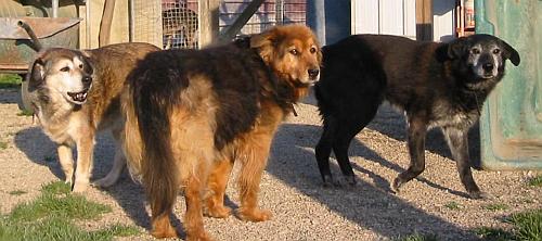 Ella, Nerone und Cicciolina