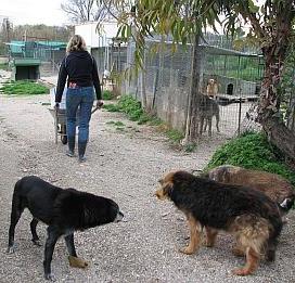 Ella, Nerone und Cicciolina