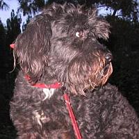 Fosco