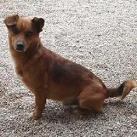 Fritzi