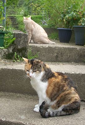 Gigi und J.D.