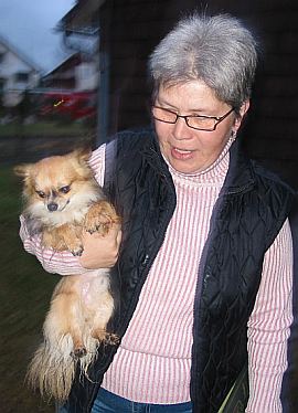 Gismo