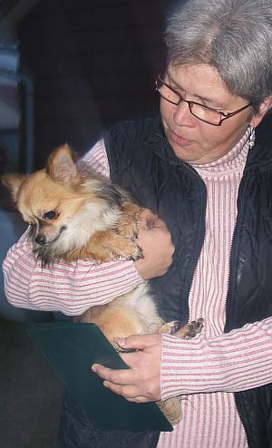 Gismo
