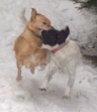 beim Toben