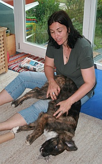 Kaya