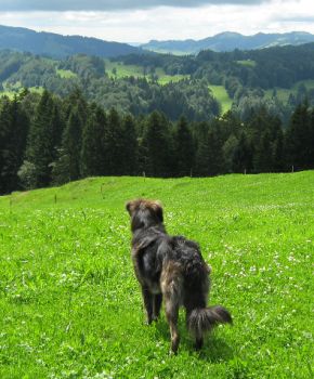 Velino in den Bergen
