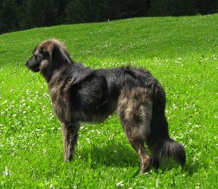 Velino in den Bergen