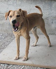 Lancio