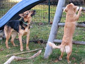 auf dem Spielplatz