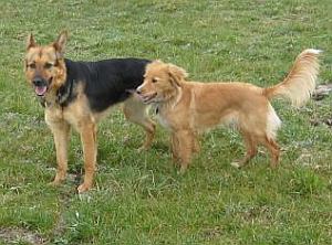 Lotta und Siska