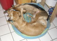 Momo und Lotta