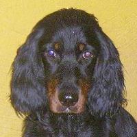 Lucrezia